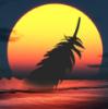 Изображение пользователя Moon fan. Изображение пользователя Moon fan.
