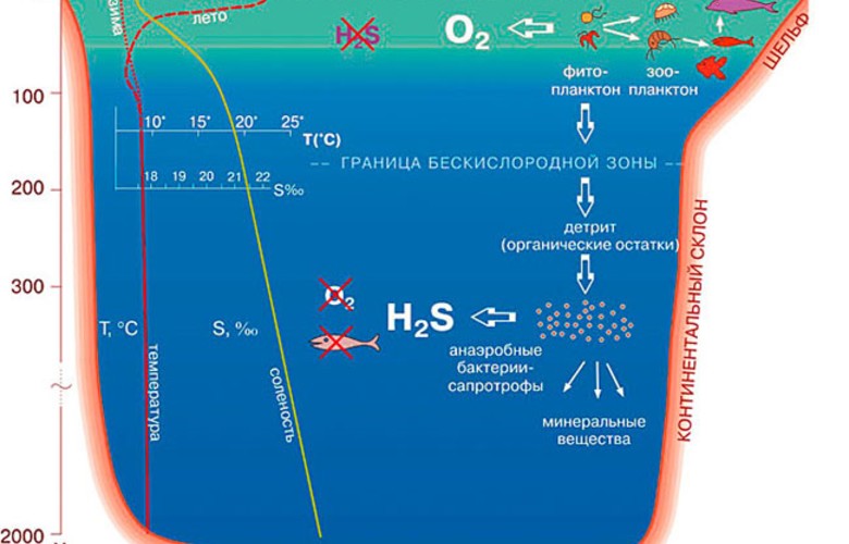 Рыба, рыбалка и рыбная кулинария на Черном и Азовском море в Крыму. Крымский Туристический Навигатор