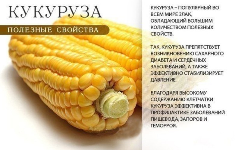 Фрукты, виноград, орехи, овощи и бахча крымского июля-августа-сентября. Крымский Туристический Навигатор
