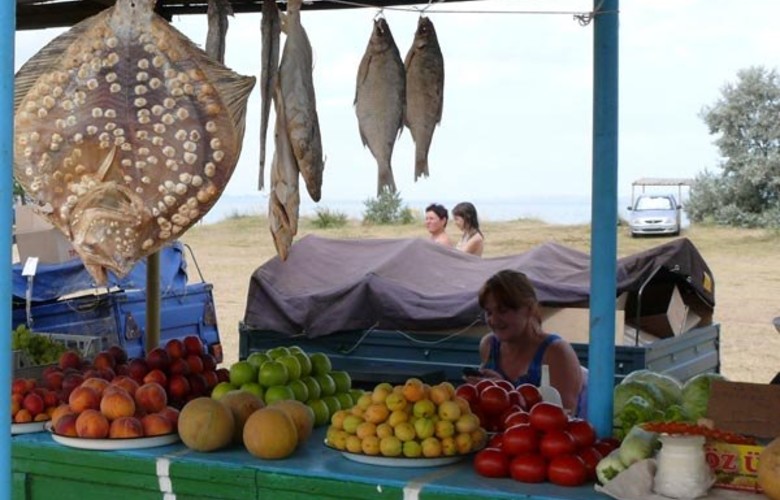 Фрукты, овощи и лекарственные растения Крыма: лучшие рынки и питомники саженцев. Крымский Туристический Навигатор