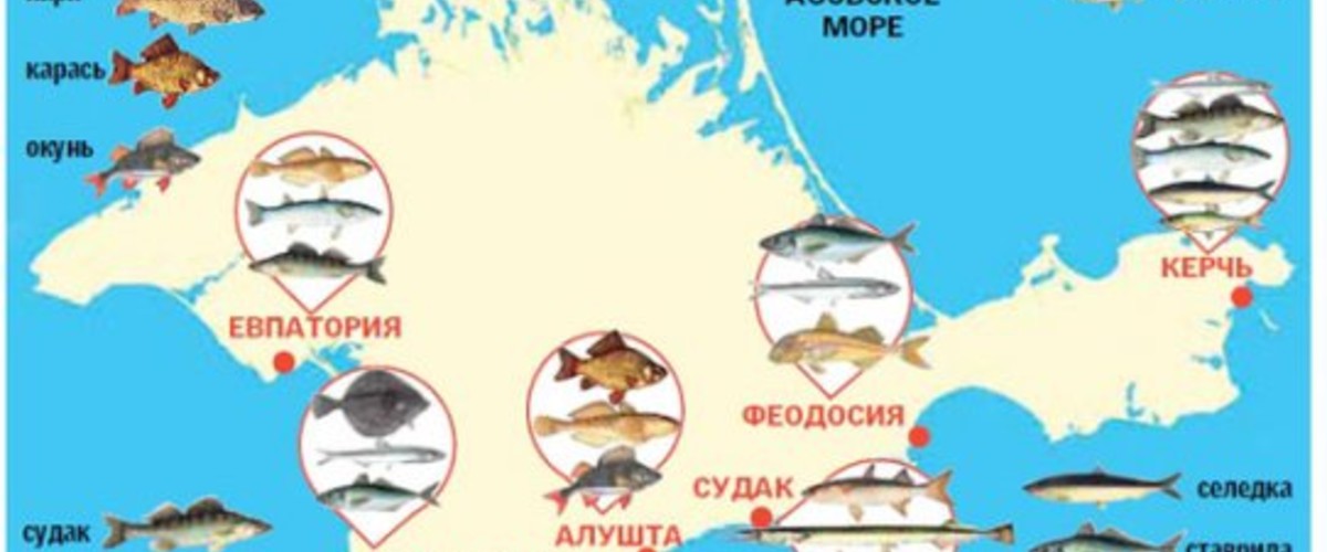 Рыба, рыбалка и рыбная кулинария на Черном и Азовском море в Крыму Рыба, рыбалка и рыбная кулинария на Черном и Азовском море в Крыму