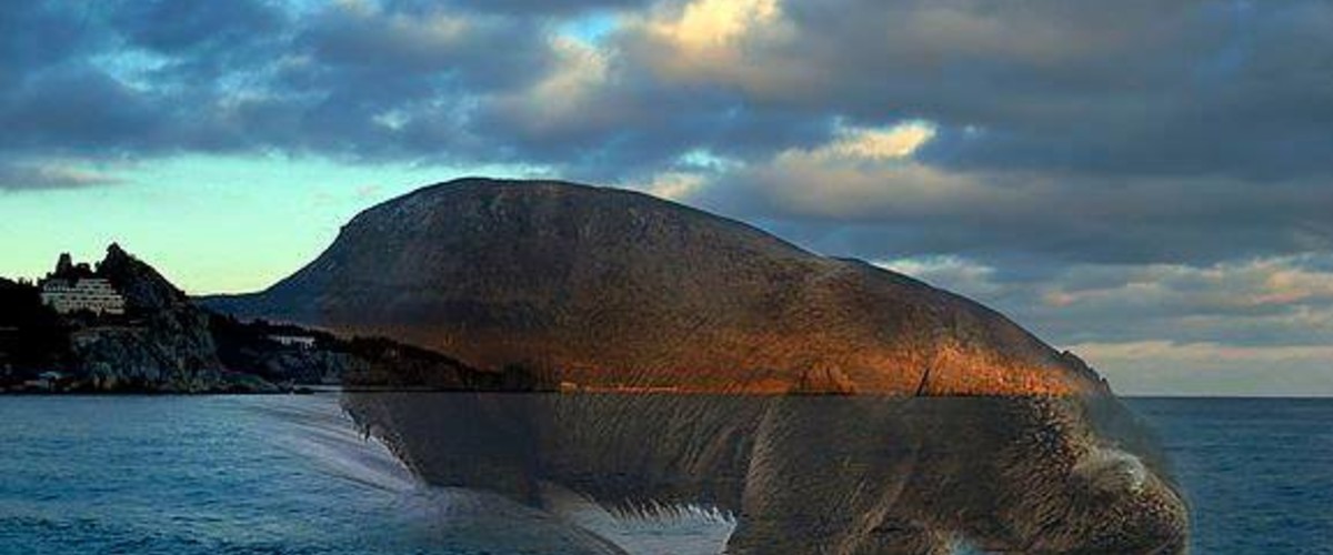 Культ пещерного медведя в Крыму и других странах Культ пещерного медведя в Крыму и других странах