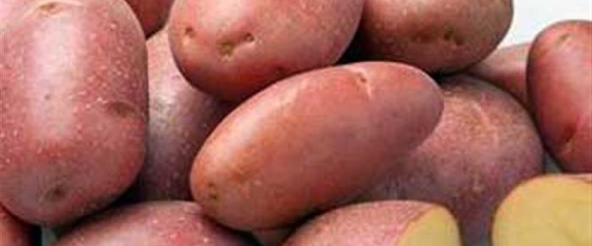 Сорт картофеля ‘Крымская роза’ . Секреты выращивания, покупки и готовки. Подбор вин в регионах Крыма