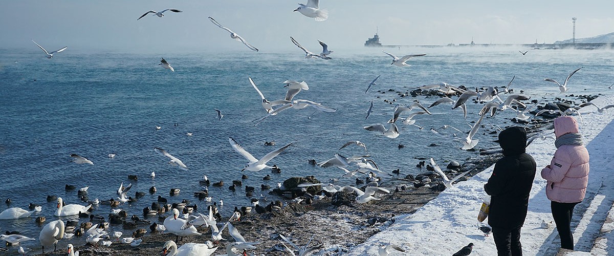 Морозная Феодосия. Картинка зимнего Крыма в мартовский день. Солнце. Морозная Феодосия. Картинка зимнего Крыма в мартовский день. Солнце.