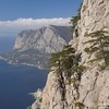 Вид с горы Ильяс-Кая на бухту Ласпи. Сосны - "альпинисты" у вершины горы.